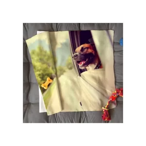 Coperta per cane e gatto